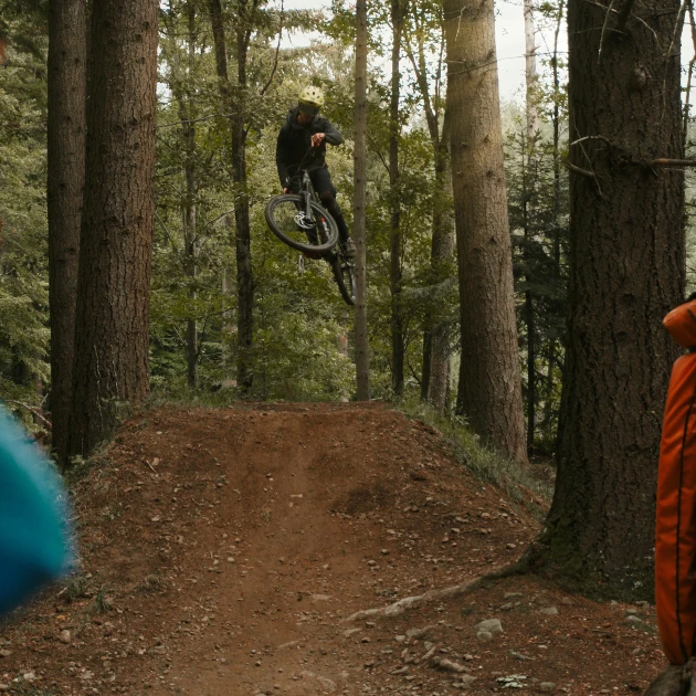 rider sending a jump between two trees